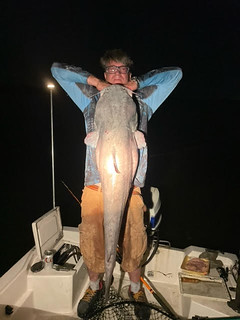 Photo of man on a boat at night holding up a fish that is almost as tall as he is
