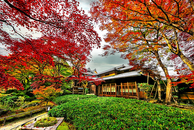 Japan Autumn Travel by Canon 6D + EF 14mm f2.8 L