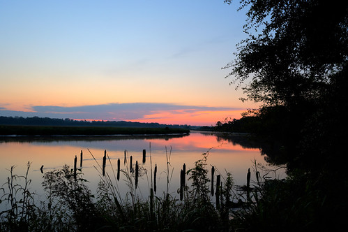Sunrise on the Ashley River by EEngler, 2022 charleston lowcountry southcarolina ashleyriver sunrise sunset middletonplace nikonz6 river