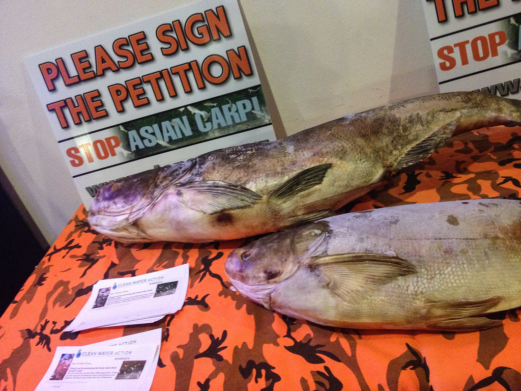 阻止亞洲鯉魚的訴願行動。圖片來源：Tony Webster（CC BY 2.0）