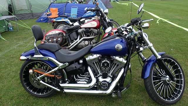 Harley-Davidson 2022 (211)