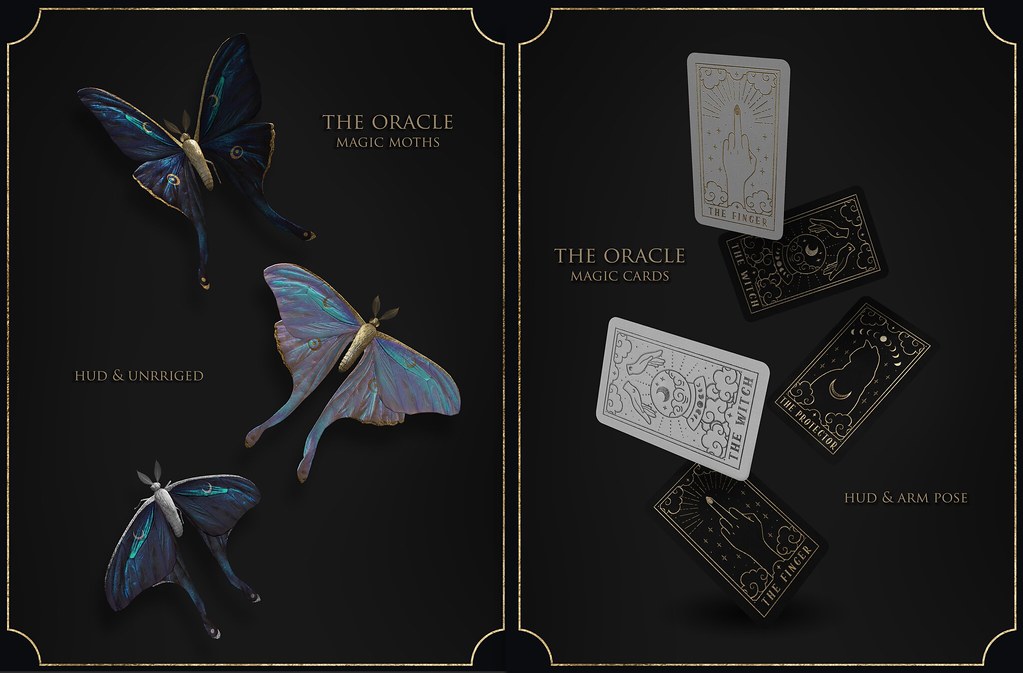 THE ORACLE COLLECTION