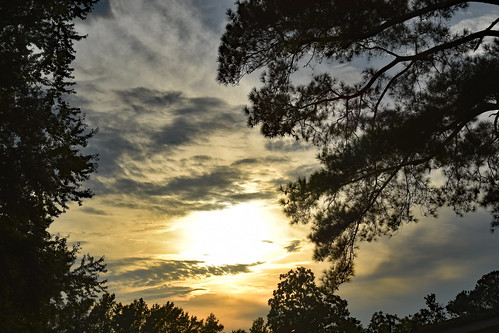 lumberton nc northcarolina robesoncounty outdoor outside outdoors nature natural nikon d3500 dslr tuesday tuesdayevening evening goodevening summer summertime august tree trees branch branches treebranch treebranches treelimb treelimbs cloud clouds sky eveningsky foliage summerfoliage sundown sunset sun sunlight