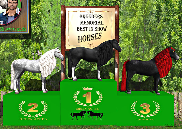 Green Acres Breeder's Memorial Best in Show 082722 - Horses