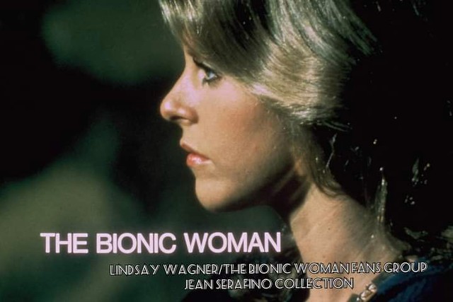 Lindsay Wagner The Bionic Woman