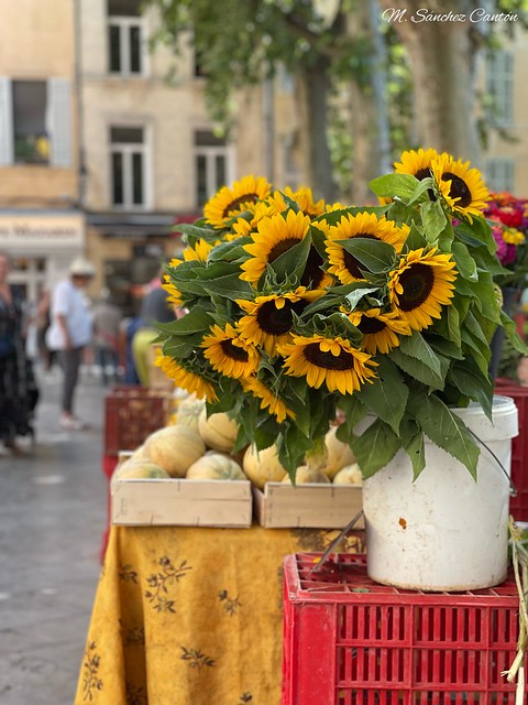 Aix en Provence. Mercado de las flores.