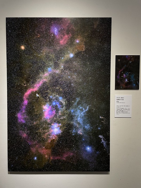 作品:「オリオン座の星間分子雲」