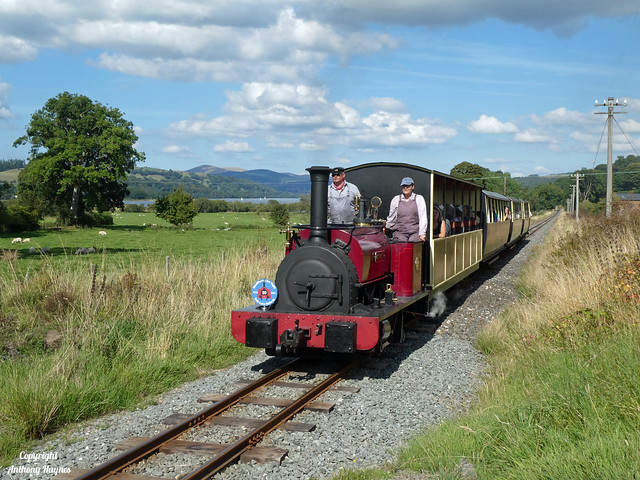 Steam locomotive, 'George B' works up Dolfawr Bank on route to Llanuwchllyn Station, Cymru, Wales.