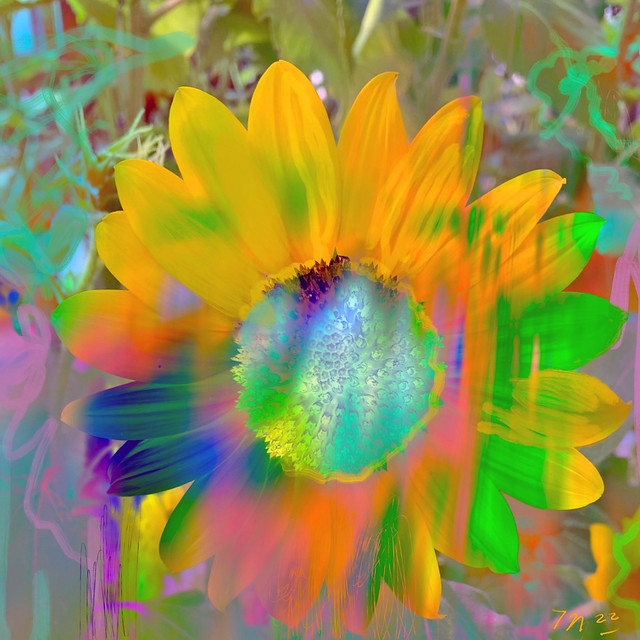 Sunflower Paint