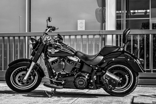 Harley Davidson ( In Explore )