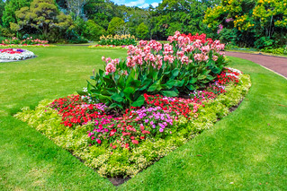 Blumenrabatte im Park der Auckland Domain
