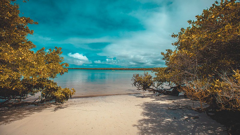 Playa Mansa, Tortuga Bay