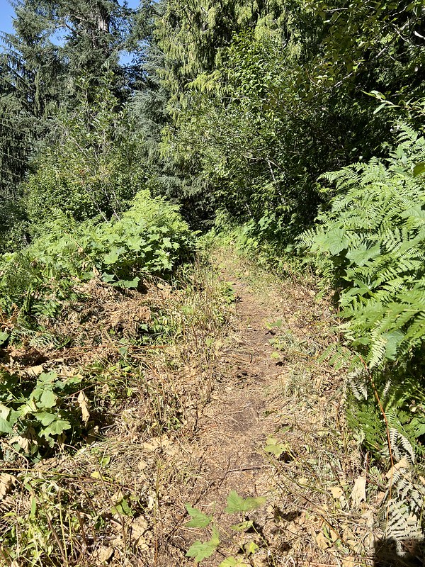 Burnt Lake Trail from the South