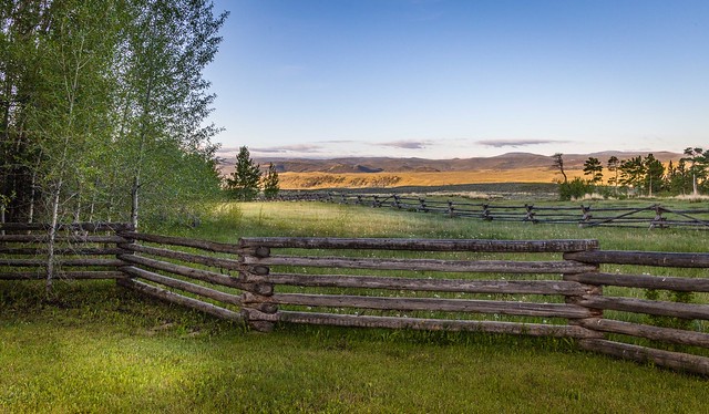 Fenced Pastures
