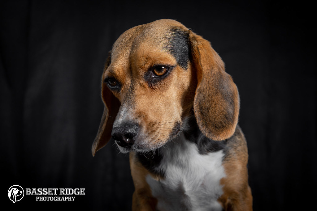 20220828-3 | Basset Ridge | Flickr