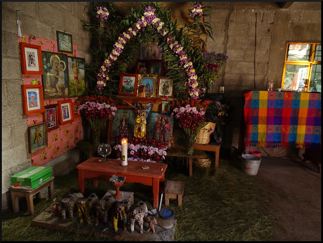 Regreso a México: Yucatán y Chiapas - Blogs de Mexico - San Cristóbal de las Casas y comunidades indígenas (10)