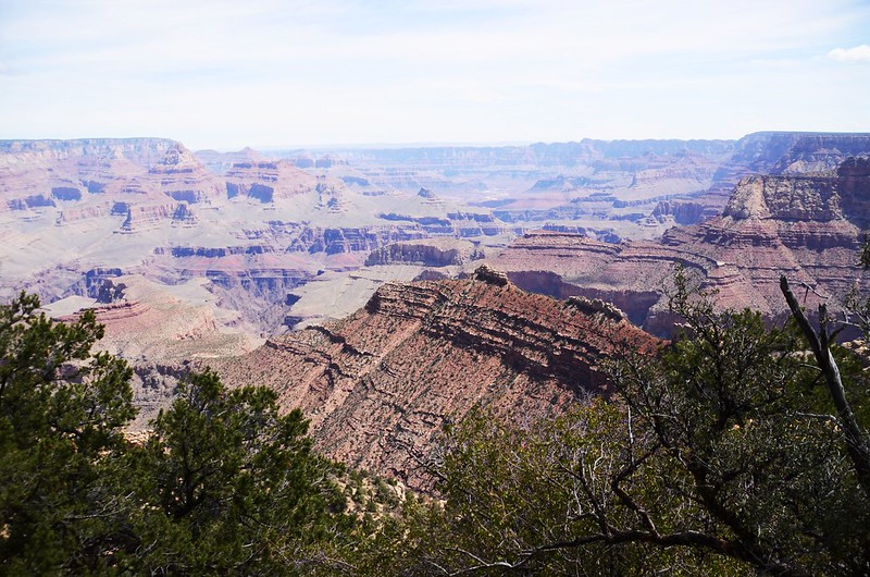 Grandview Point, Grand Canyon National Park (11)