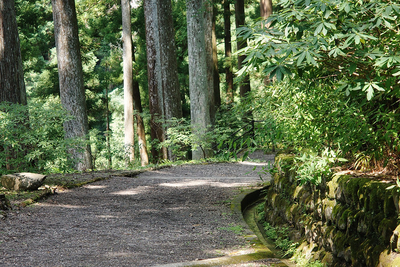 身延山久遠寺 女坂 RICOH GR IIIx