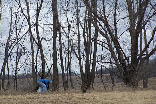 Dog Park Cleanup | by Dane Co LWRD