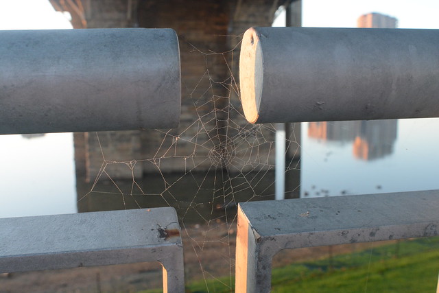 Spider connects the railings