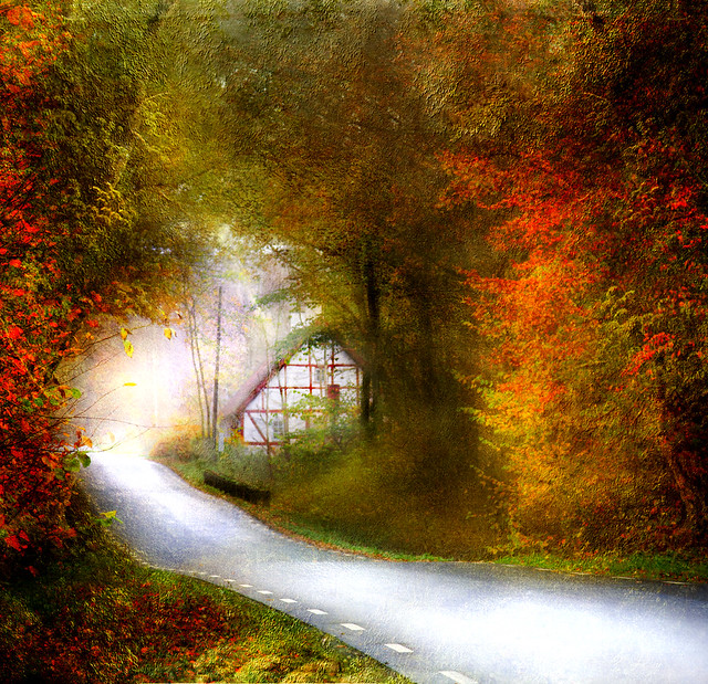 Road through autumn.