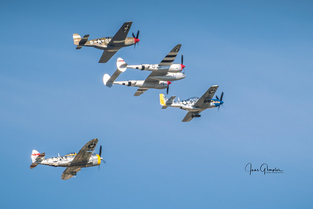 P-51C Boise Bee, P-47D Dottie Mae, P-38 Honey Bunny, TF-51D Diamondback