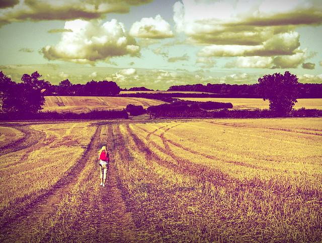 Walking the fields