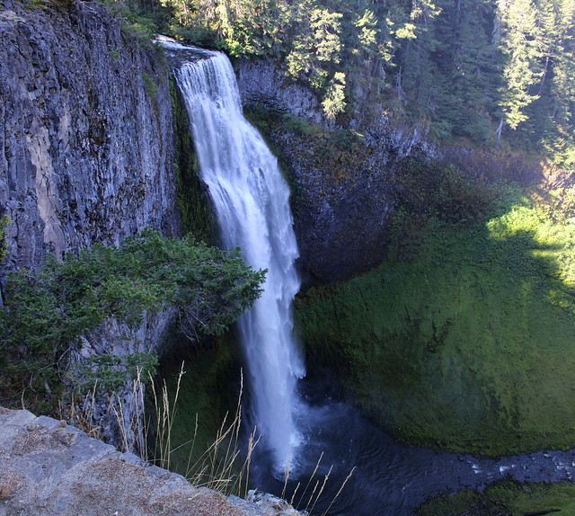 First look at Salt Creek Falls, from the tourist overlook
