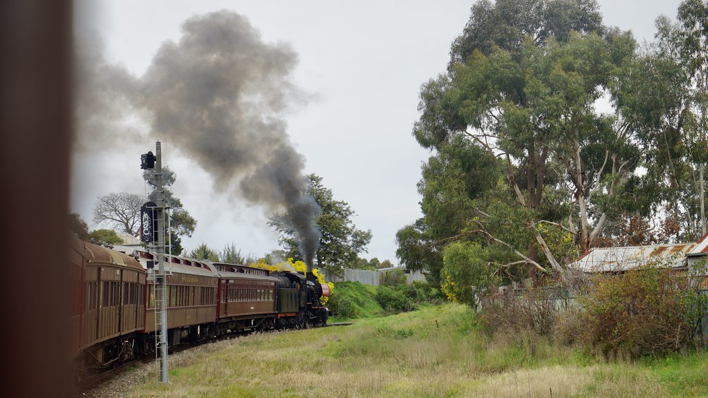 chuff-chuff | Castlemaine to Maldon oil-burning Steam Train | Christine ...