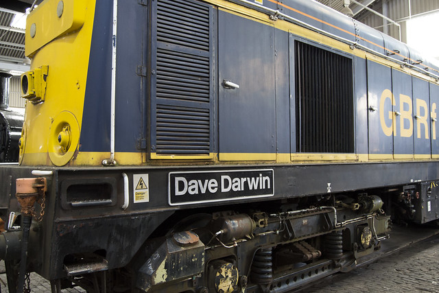 Dave Darwin