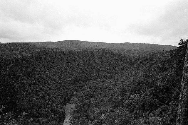 Pine Creek Gorge