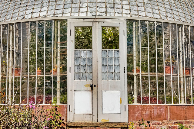 What's concealed in cousin Connie's conservatory?