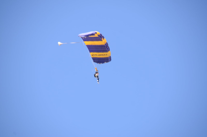 Skydiving (8)