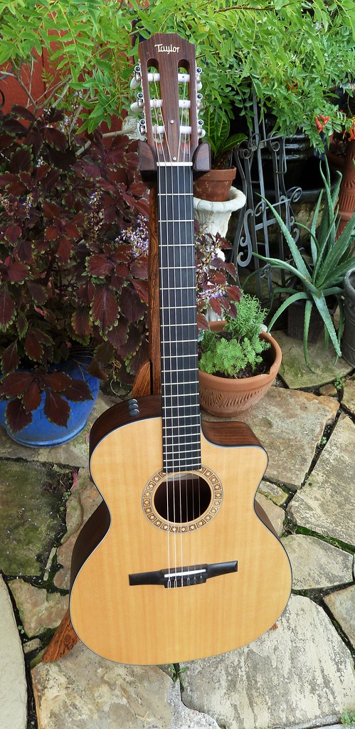 For Sale: SOLD! Taylor NS24ce - Nylon String Acoustic-Electric