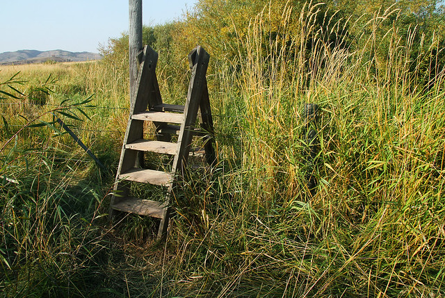 Stile in the Weeds