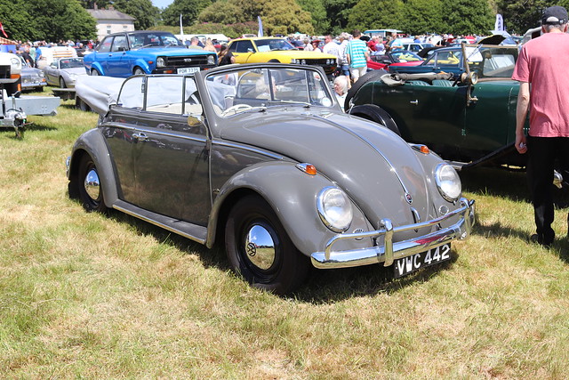Volkswagen Beetle VWC442