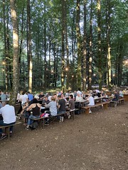 Waldfest & Waldsporttag 2022