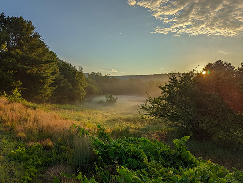 PXL_20220808_102100035 by Paul-W, conway massachusetts unitedstates sunrise