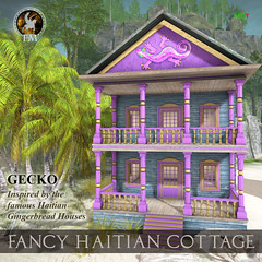 F&M * Fancy Haitian Cottage Gecko