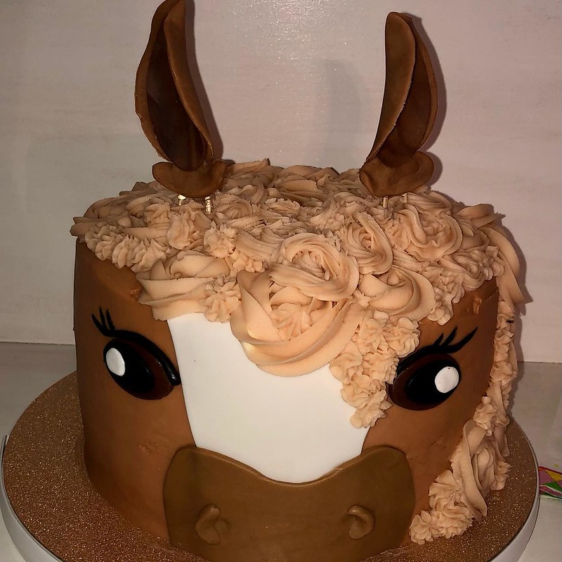 Horse Cake by JEMcakes, LLC