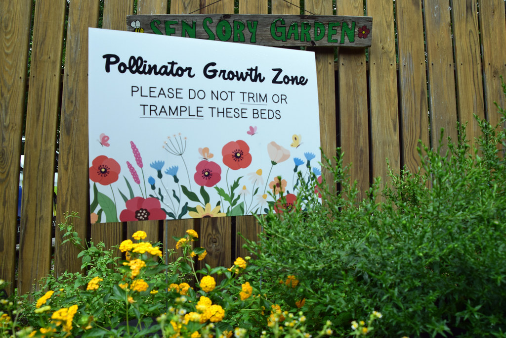 Pollinator Growth Zone