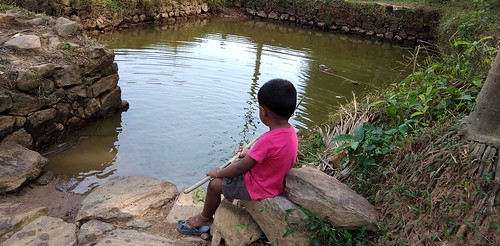 Kerala Boy |Trend | Fishing in back water | by farookh917