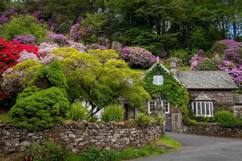 Grasmere in Bloom, Lake District