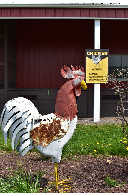 Vintage Chicken Sign