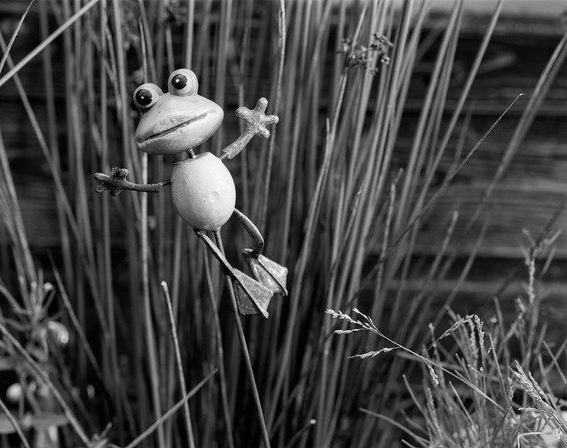 Day 233 (21st Aug) - Jumping frog... Albuquerque