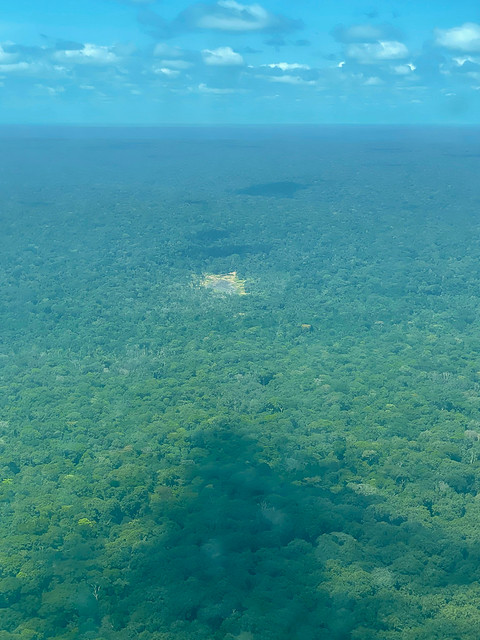 Dzanga-Bai surrounded by rainforest
