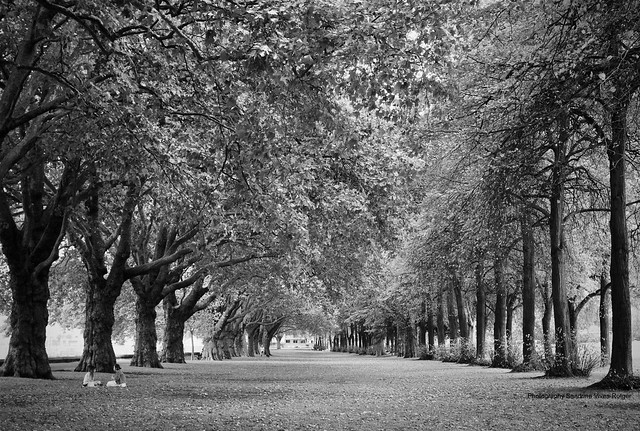 Wandsworth Park. London.