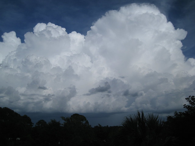 glorious thunderhead