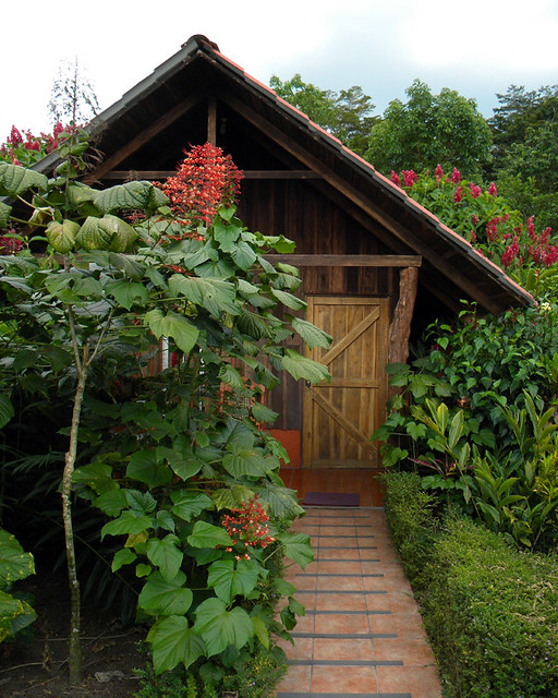our hotel was a series of small cabins in a tropical garden overlooking the Arenal Volcano, Costa Rica