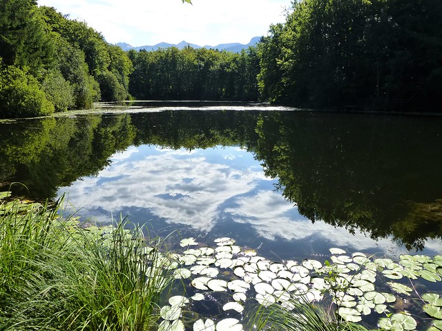 09.05.22. Le Lac Noir et le Lac de la Beunaz (France)